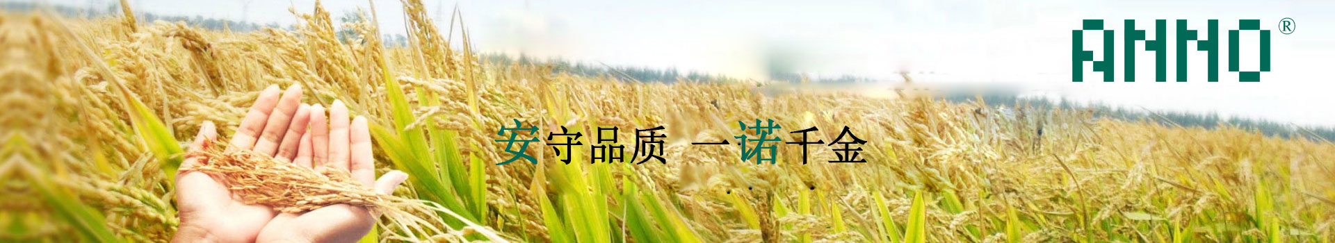 廣告輪換1